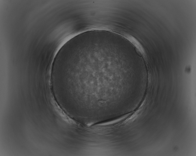 X0000091511052200708241625