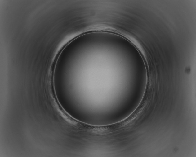 X0000091511053200708241625