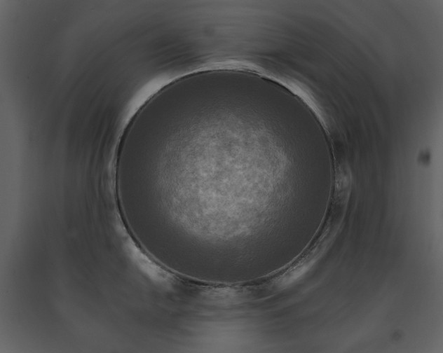 X0000091511054200708241625