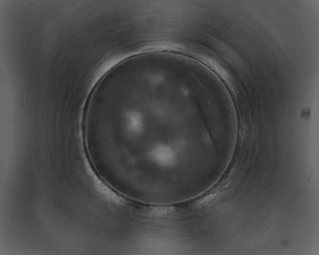 X0000091511055200708241625