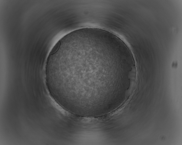 X0000091511056200708241625