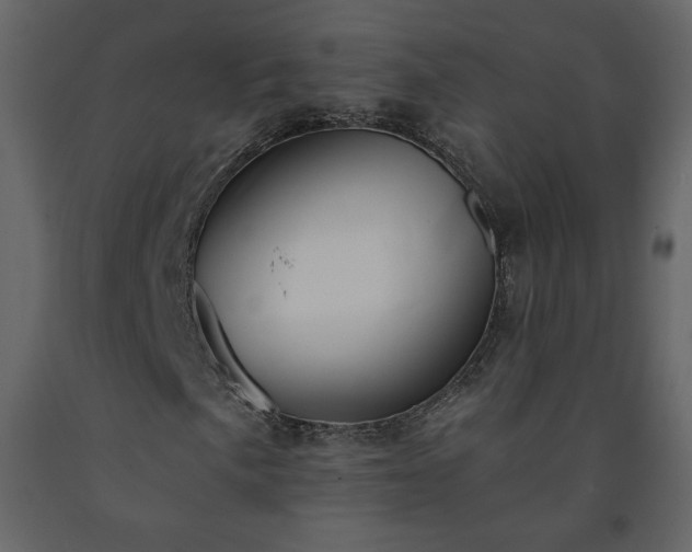 X0000091511057200708241624