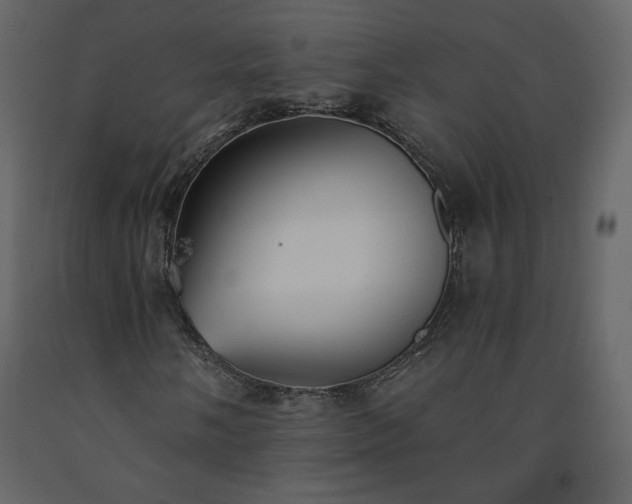 X0000091511058200708241624