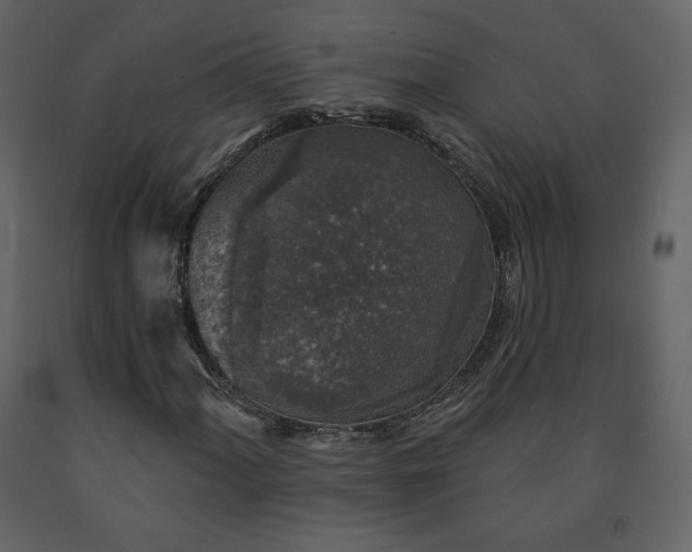 X0000091511060200708241624