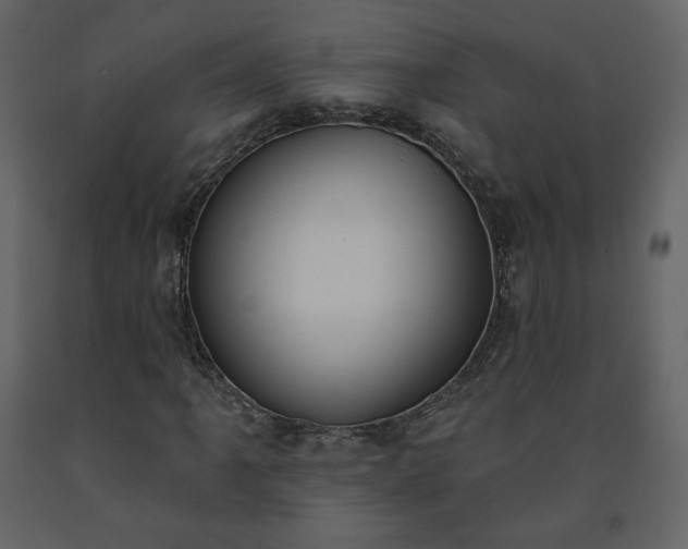 X0000091511061200708241624