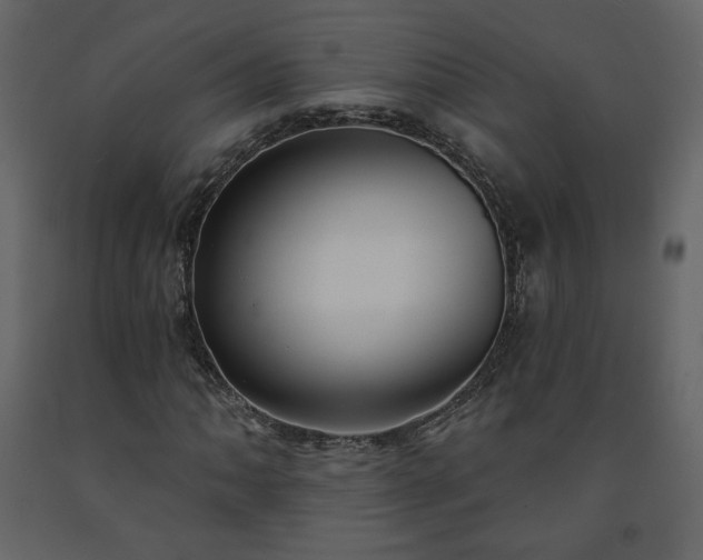 X0000091511062200708241624