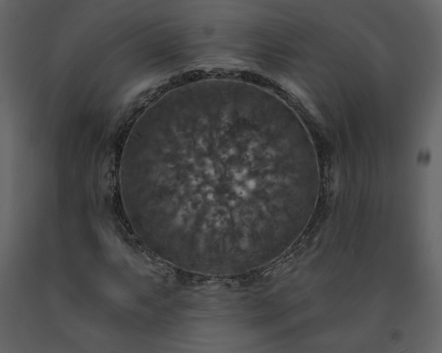 X0000091511063200708241624