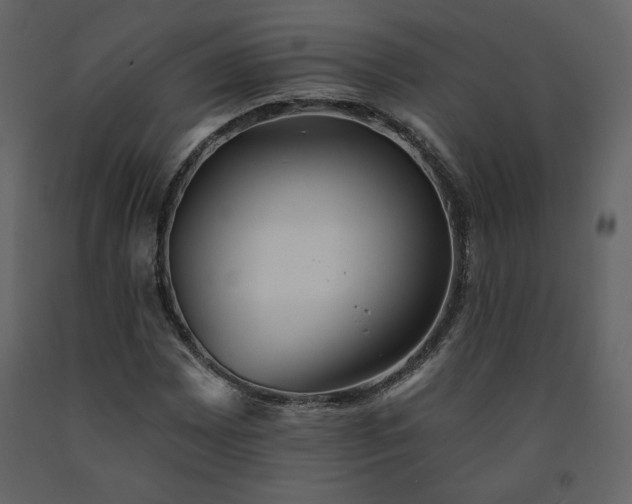 X0000091511065200708241624