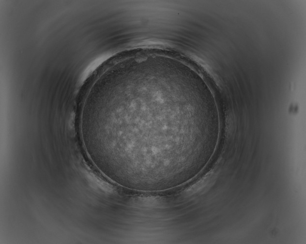 X0000091511066200708241624