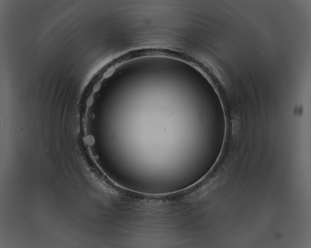 X0000091511069200708241624