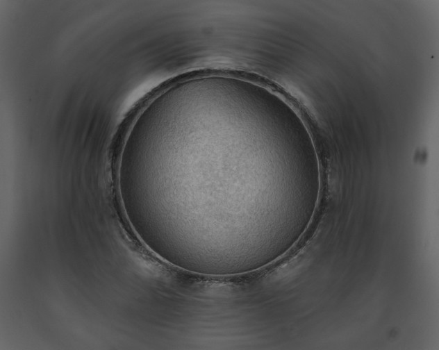 X0000091511070200708241624