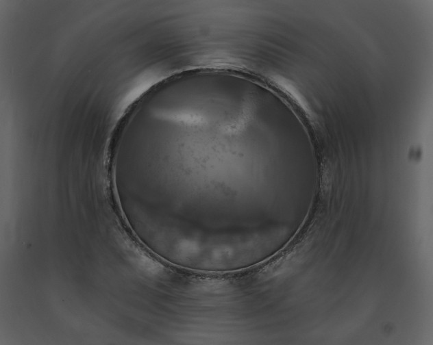 X0000091511071200708241624