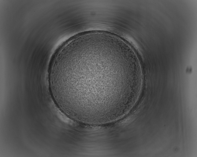 X0000091511072200708241624