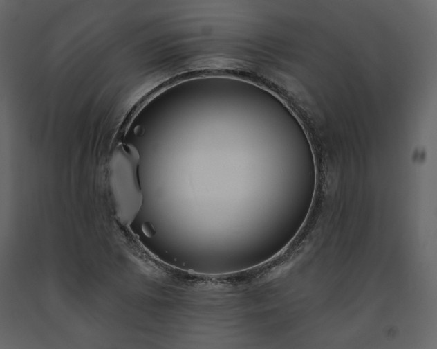 X0000091511073200708241624