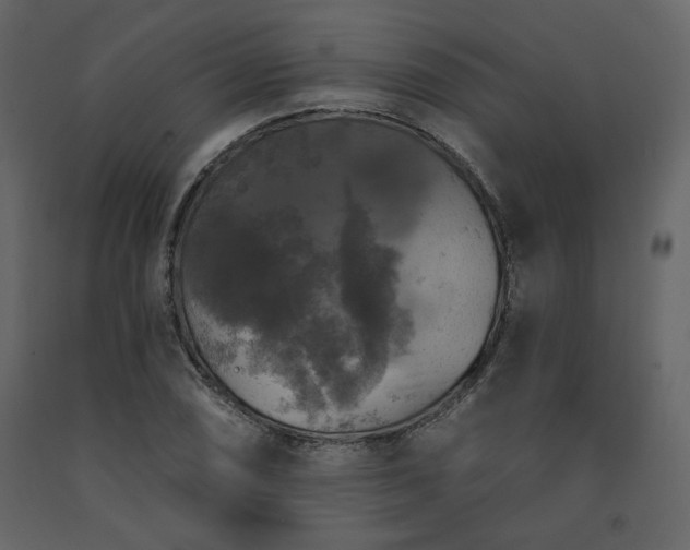 X0000091511074200708241624