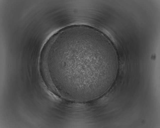 X0000091511076200708241624