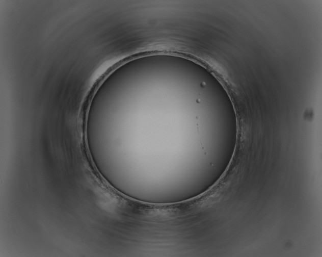 X0000091511078200708241624