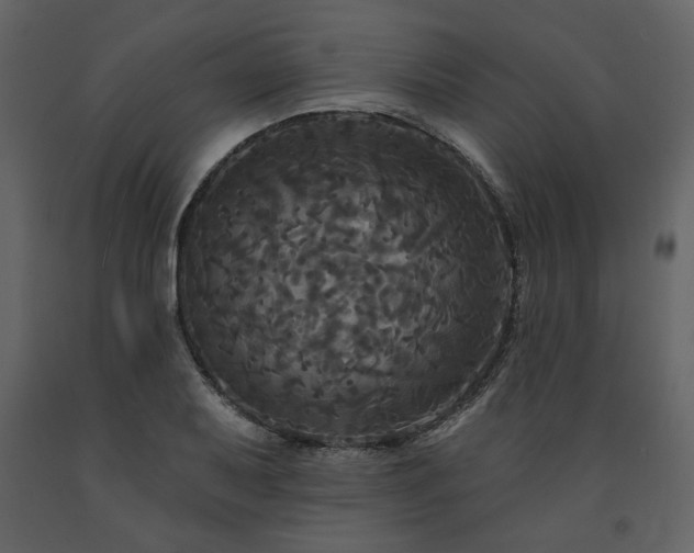 X0000091511079200708241624