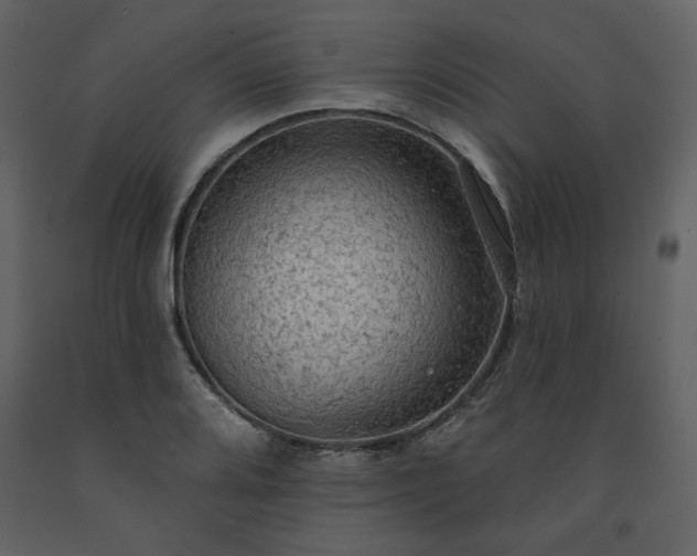 X0000091511080200708241624