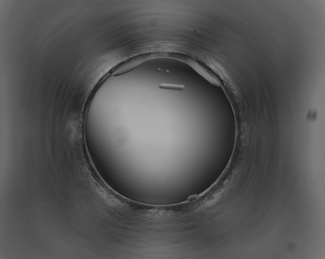 X0000091511081200708241624