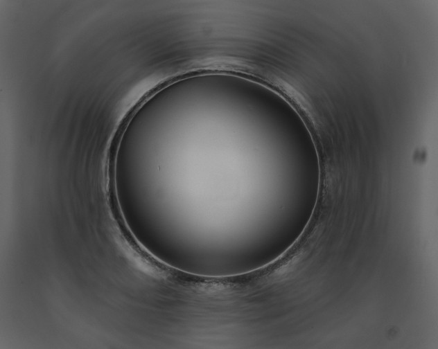 X0000091511082200708241624