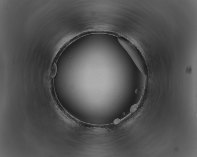 X0000091511085200708241624