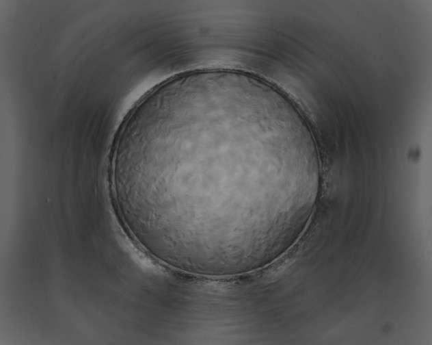 X0000091511086200708241624