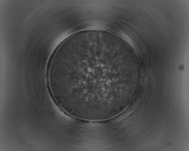 X0000091511087200708241624