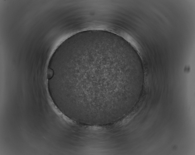 X0000091511088200708241624