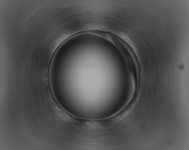 X0000091511089200708241624