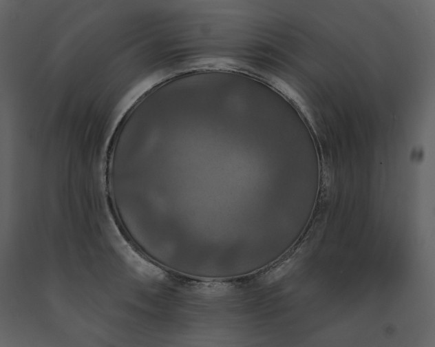 X0000091511090200708241624