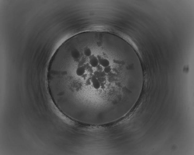 X0000091511091200708241624