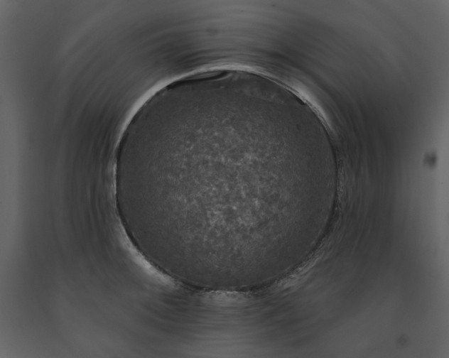 X0000091511092200708241624