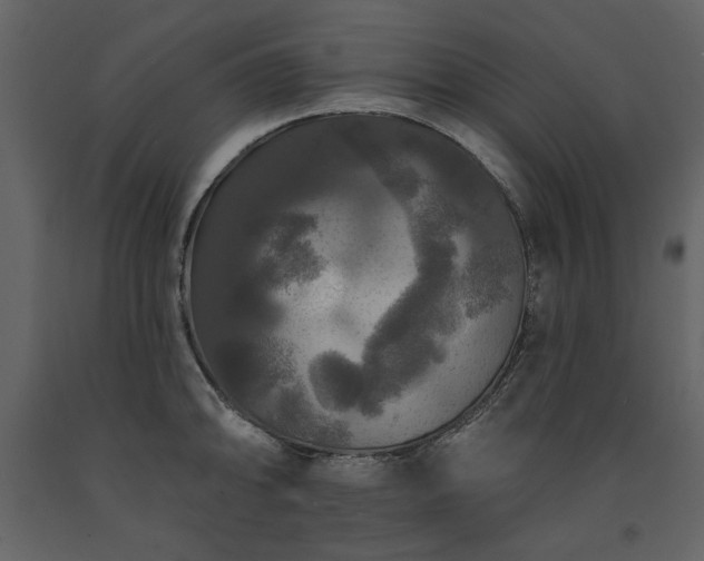 X0000091511094200708241624