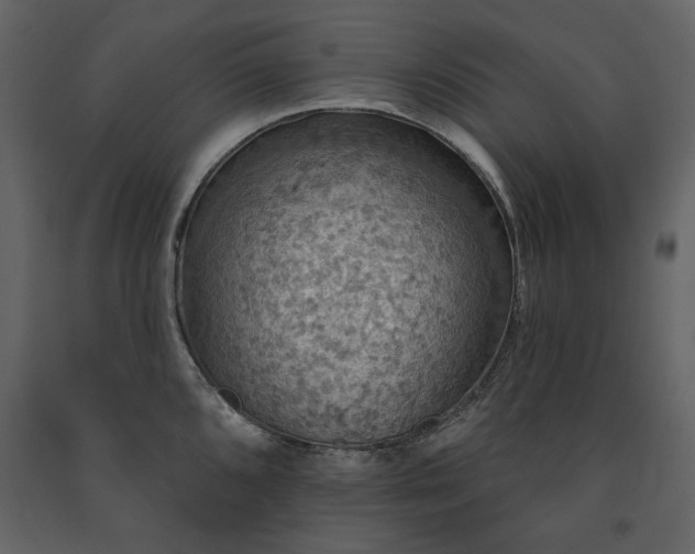 X0000091511096200708241624