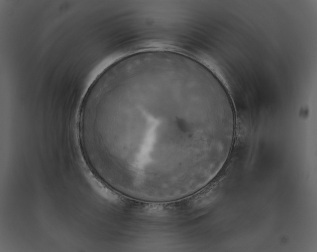 X0000091511098200708241624