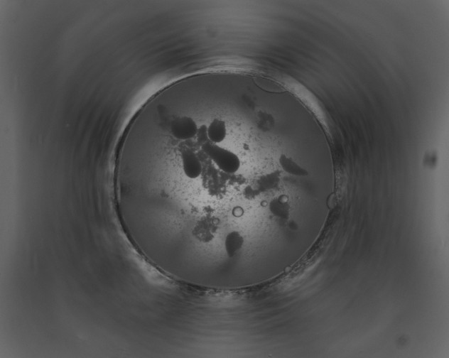 X0000091511099200708241624