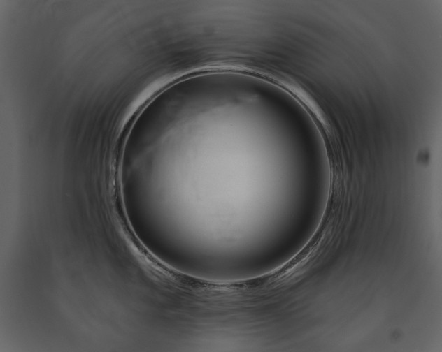 X0000091511101200708241624