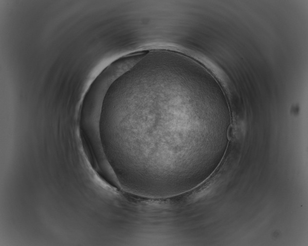 X0000091511102200708241624