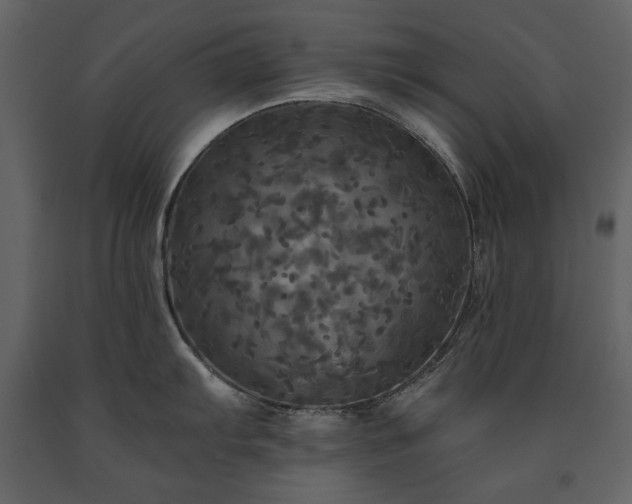 X0000091511103200708241624