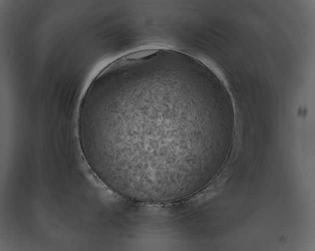 X0000091511104200708241624