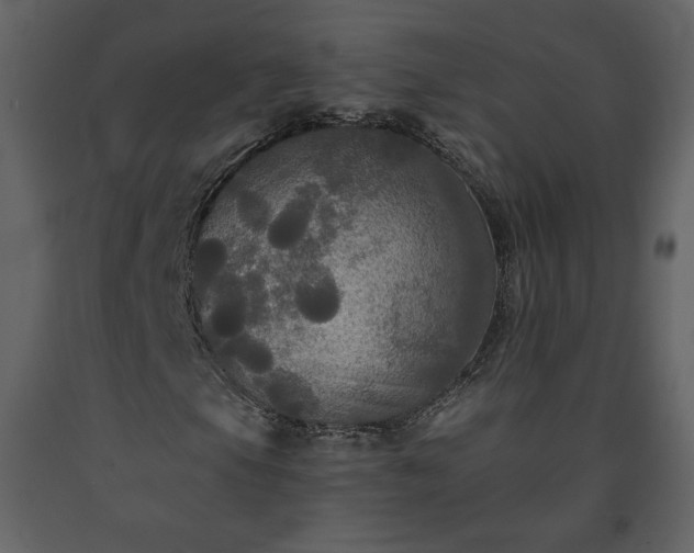 X0000091511105200708241623