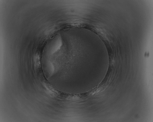 X0000091511106200708241623