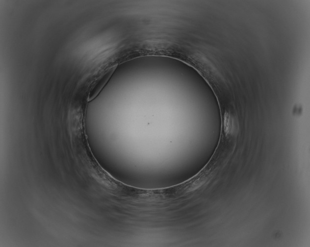 X0000091511107200708241623