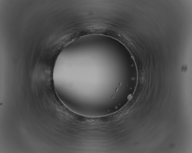 X0000091511108200708241623