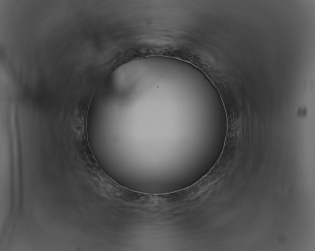 X0000091511109200708241623