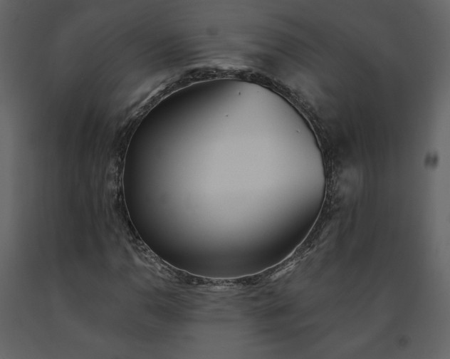 X0000091511110200708241623