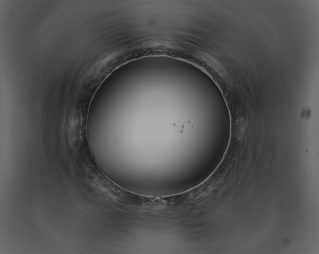 X0000091511111200708241623