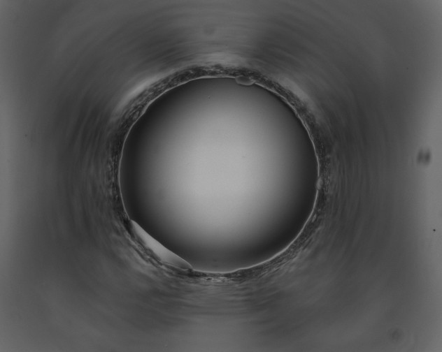 X0000091511112200708241623