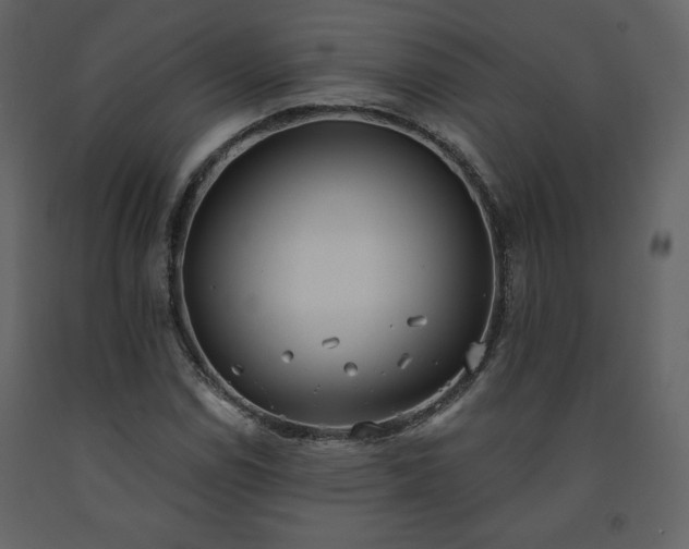 X0000091511114200708241623